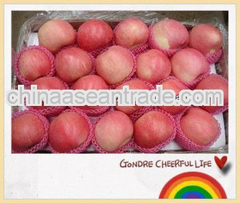 2013 new crop high quality fuji apple in china for sale