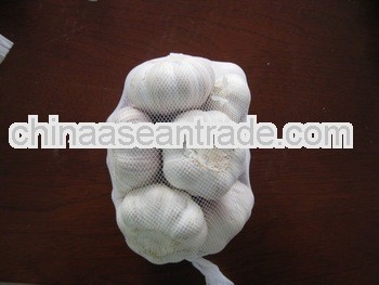 2013 new crop pure white/normal white garlic