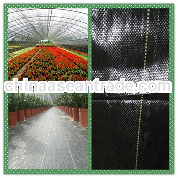 2013 new pp woven ground cover,pp weed mats,weed control mats