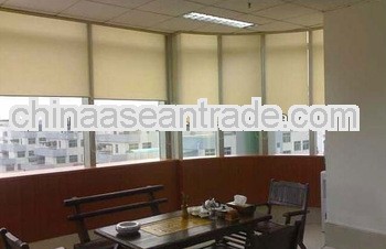2013 nice design Pisa Pleated blind
