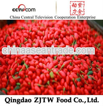 2013 ningxia red goji