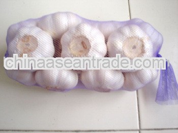 2013 pure white garlic