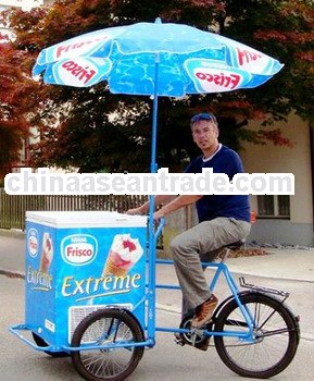 2013 updated Battery solar powered chest freezer,electric tricycle,portable freezer 12V, electric fr