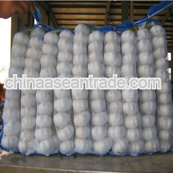 2013 white garlic fresh garlic new crop garlic