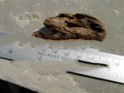 Natural Sinking Agarwood Pendant