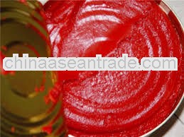 210g canned tomato paste 28-38% for African market