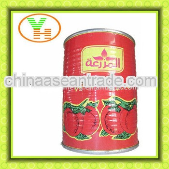 210g canned tomato paste,canned tomato paste concentrate