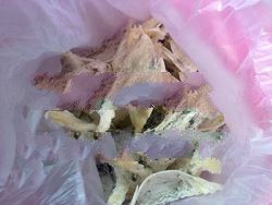 Organic Bird Nest Product