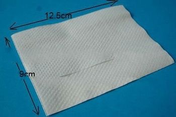 250*170mm ,1 ply,20gsm embossed dispenser napkin,christmas placemats napkins