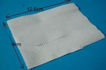 250*170mm ,1 ply,20gsm embossed napkins for napkin dispenser