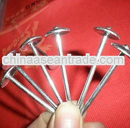 2.5'x9bwg plain shank roofing nails