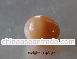 natural pearl from rare shell south sea pearl natural wild