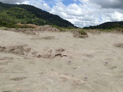 CONSTRUCTION RIVER WHITE SAND