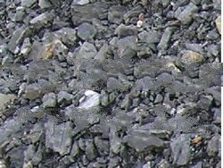 Steam Coal