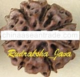 Seven-Faced Rudraksha Java Bead