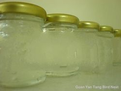 Frozen Fresh Bird's Nest