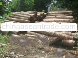 forest products, Mahogany roundlogs