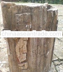 Natural Fossil Stones