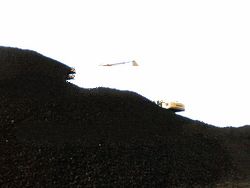 n Steam Coal