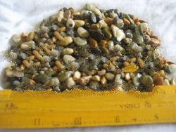 PLD palawan pebbles