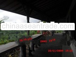 Bali Green Living villa