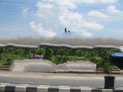 Sell Land For Swallow Birdnest House