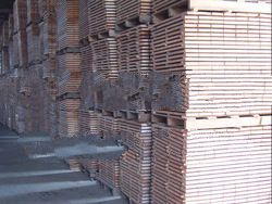 flooring made in Keruing or Pyinkado