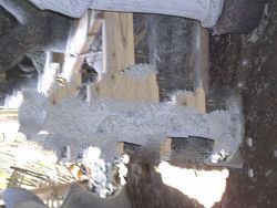 Dragon Eagle stone carving