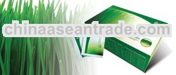 Ins Wheatgrass Tea
