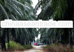 Refined Palm Oil, Crude Palm Oil, Vegetable Oil, Olive Oil For Sale By Esso Oil Malaysia Berhad