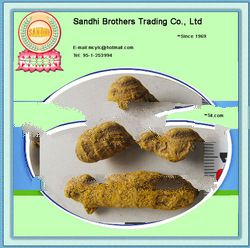 Turmeric Finger turmeric finger salem