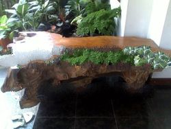 Solid Teakwood Table