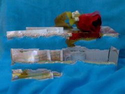 Hadi's Slimming Products