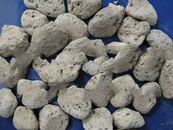 pumice stone