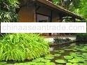 apartments and villas in Bali