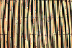BAMBOO FENCING bfp3