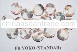 Shell Button Blanks