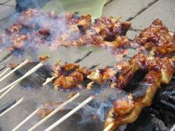 frozen instant satay