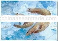 Vammanei White Shrimp