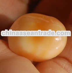 baroq cassis cornuta natural pearl indonesia