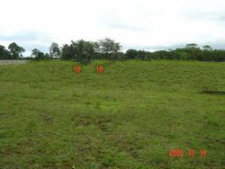 land for sale - property for sale