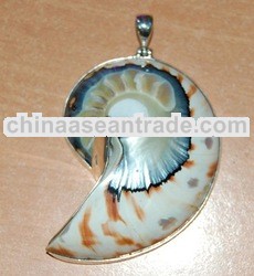 nautilica shell cut pendants art jewelry