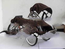 Becak Jawa Tengah ("Becak" Central Java)