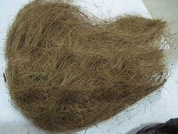 coconut fiber