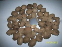 High Grade Raw Whole White Round Dried Nutmeg