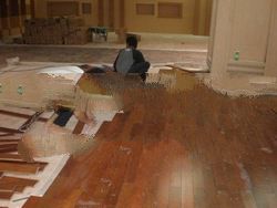 Exotic Wood Coconut Flooring