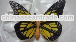 Goose Feather Butterfly