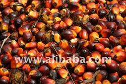 palm oil