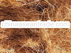 Coconut Coir Fiber INDONESIA ORIGIN
