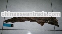 Sinking Antique Agarwood